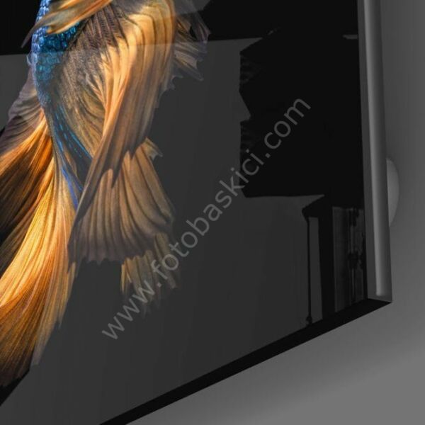 Betta Balık Cam Tablo No:2018