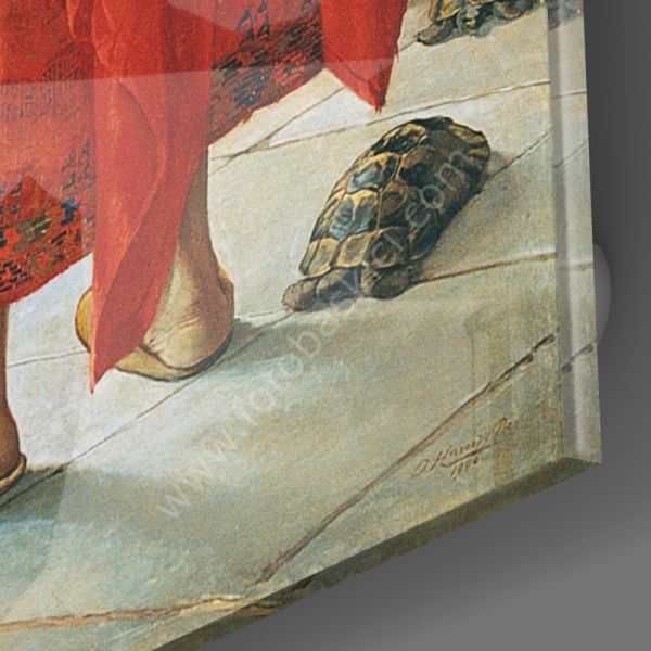 Kaplumbağa Terbiyecisi Cam Tablo