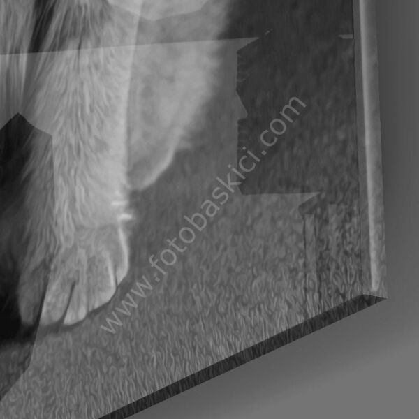 Kedi Cam Tablo