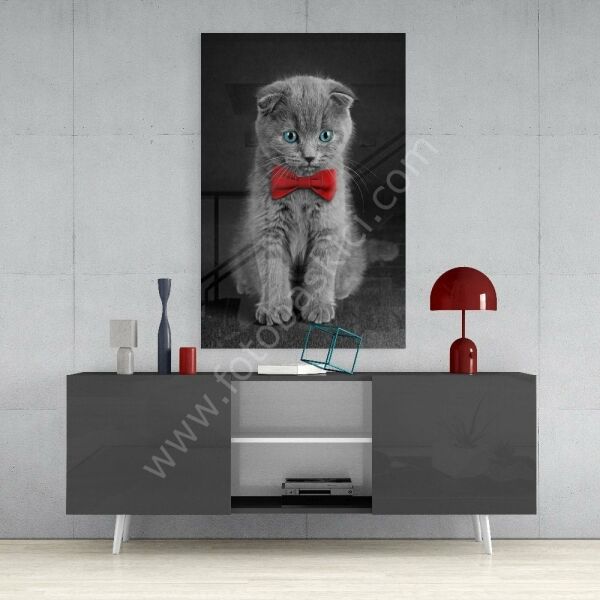 Kedi Cam Tablo