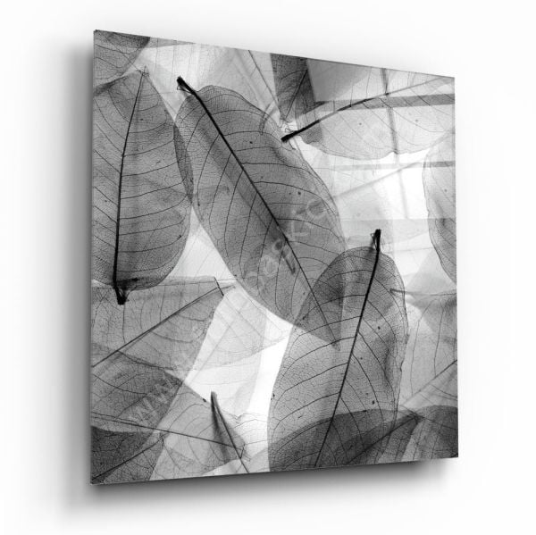 Siyah-Beyaz Yapraklar Cam Tablo 100x100 cm