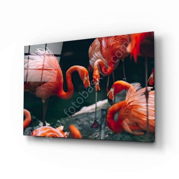 Flamingolar Cam Tablo