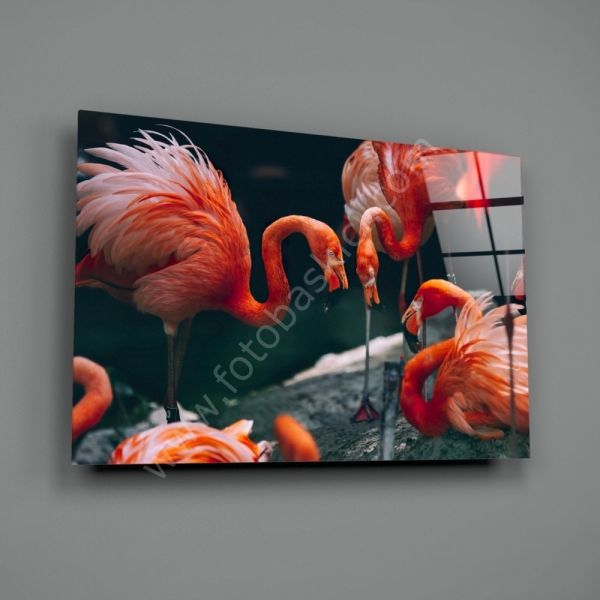 Flamingolar Cam Tablo