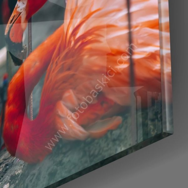 Flamingolar Cam Tablo