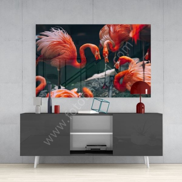 Flamingolar Cam Tablo