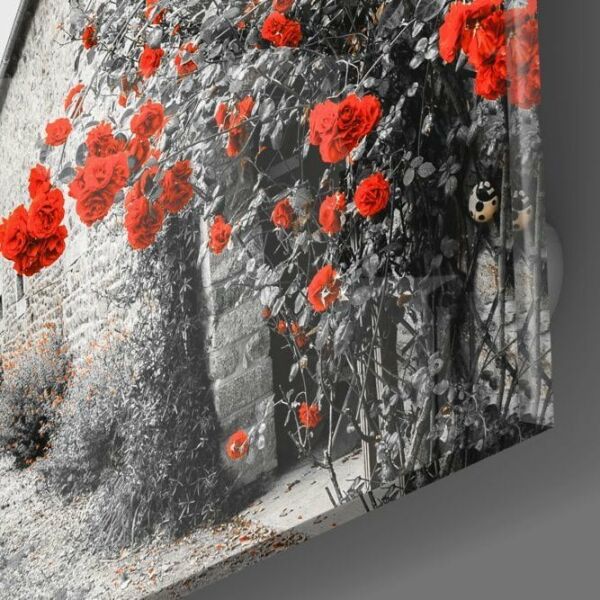 Kırmızı Güller Cam Tablo
