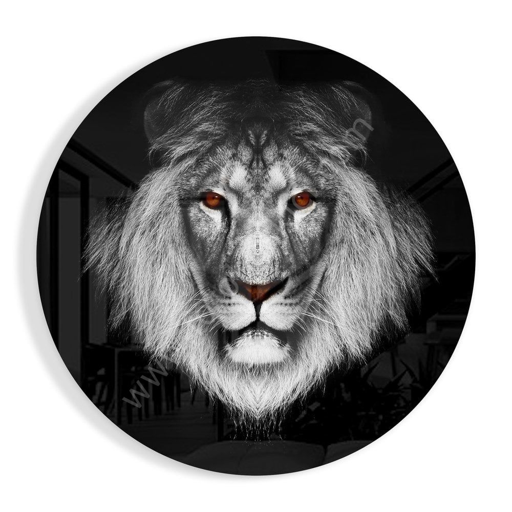 Aslan Cam Tablo No:2007