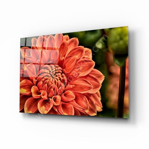 Turuncu Gerbera Cam Tablo