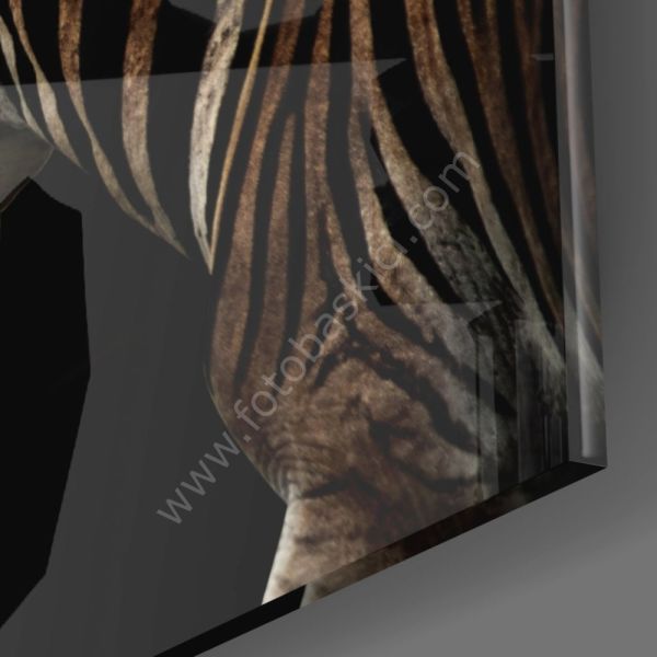 Zebra Cam Tablo No:1048