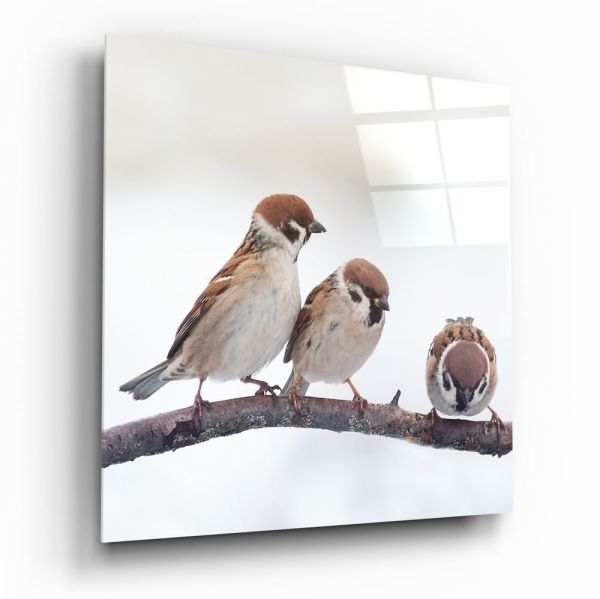 Üç Minik Kuş Cam Tablo No:1051