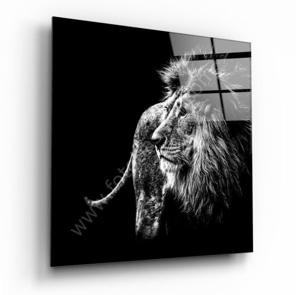 Aslan Cam Tablo No:1108