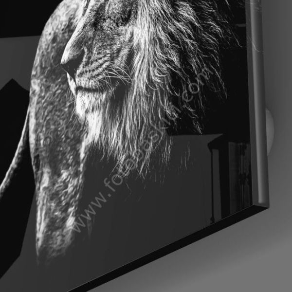 Aslan Cam Tablo No:1108