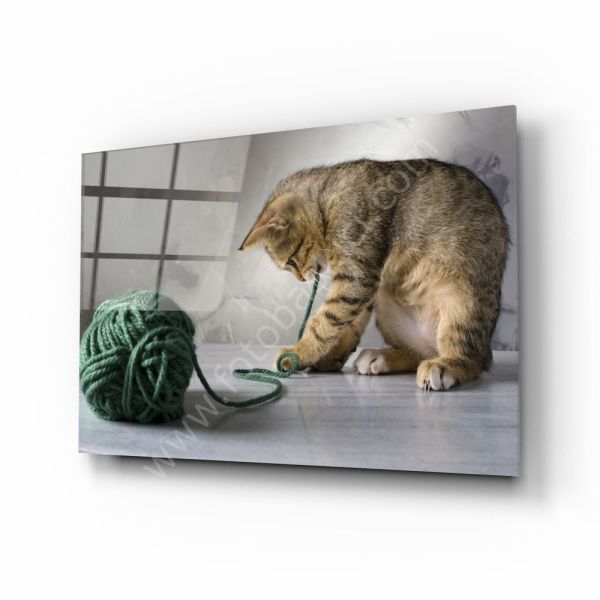 Kedi Cam Tablo No:1103