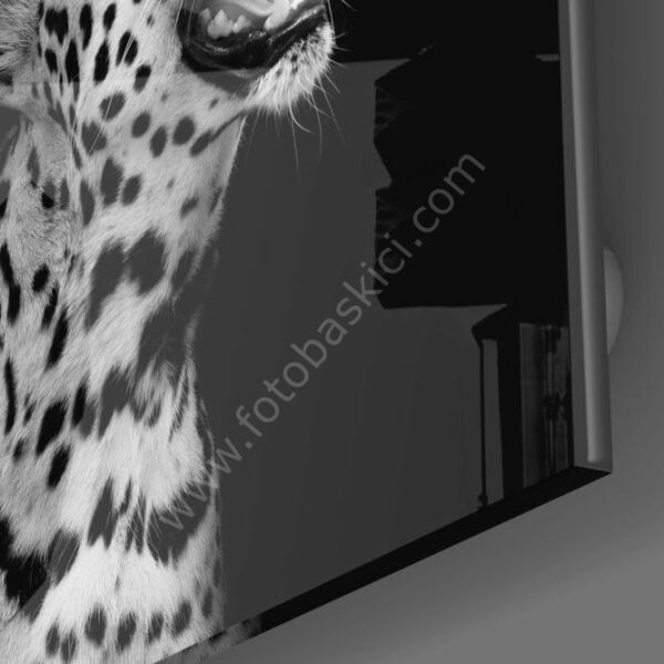 Leopar Cam Tablo No:2006