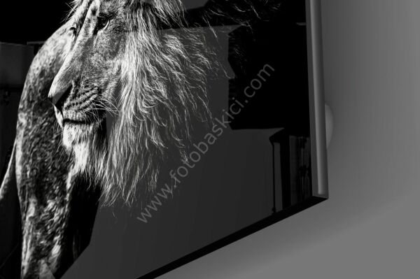 Aslan Cam Tablo No:1108