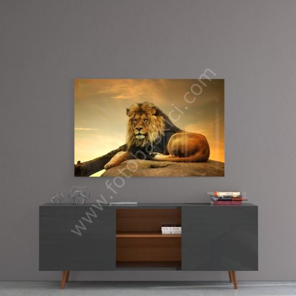 Aslan Cam Tablo No:4027