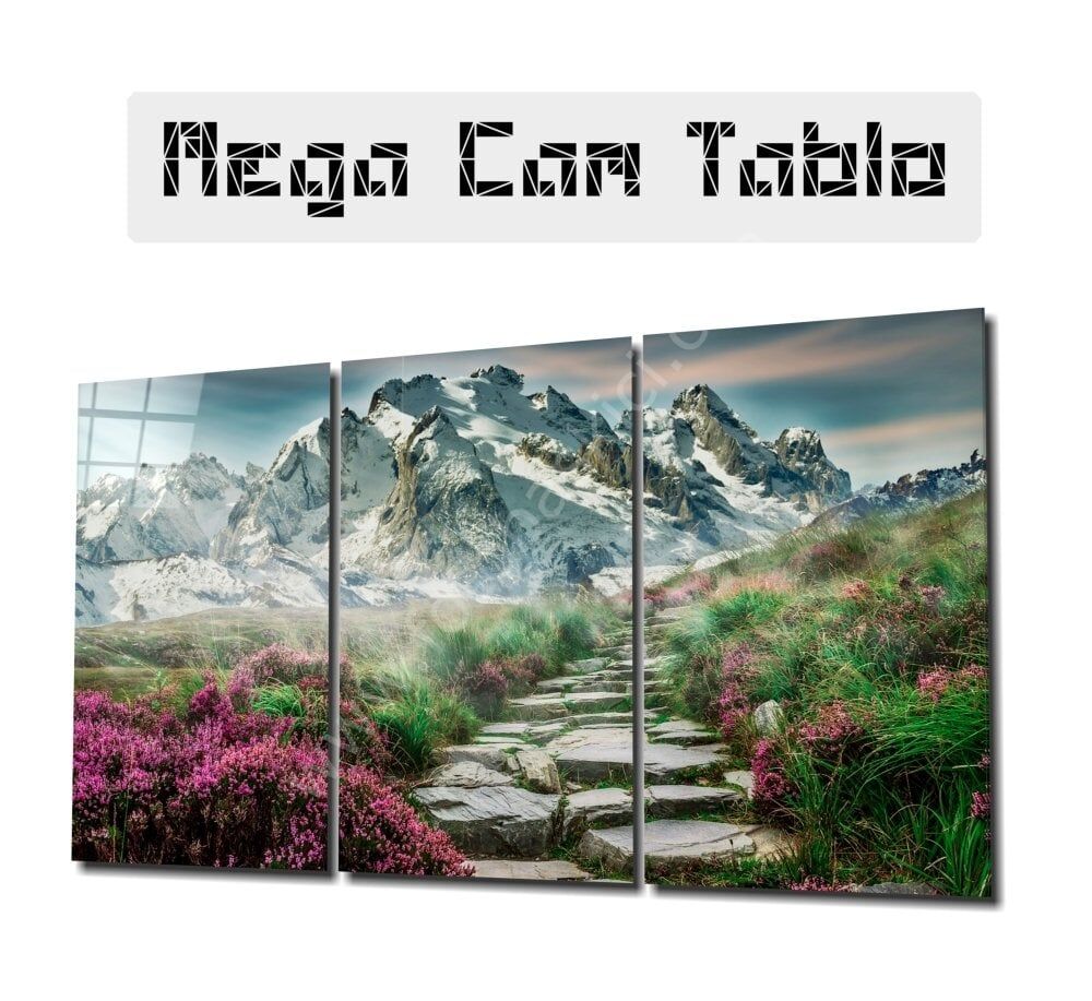 Patika Yol Mega Cam Tablo