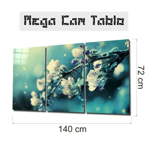 Tomurcuk Mega Cam Tablo