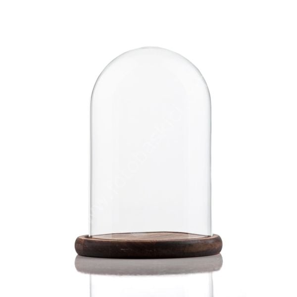 Ahşap Tabanlı Cam Fanus 15x21 cm
