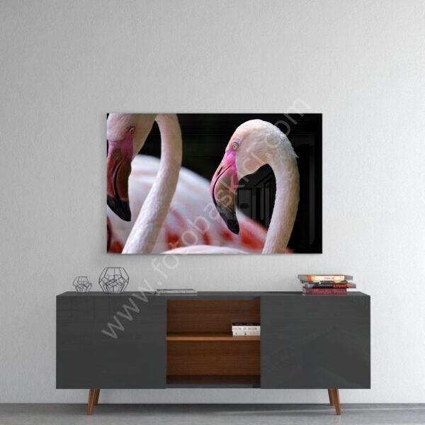 Flamingo Cam Tablo