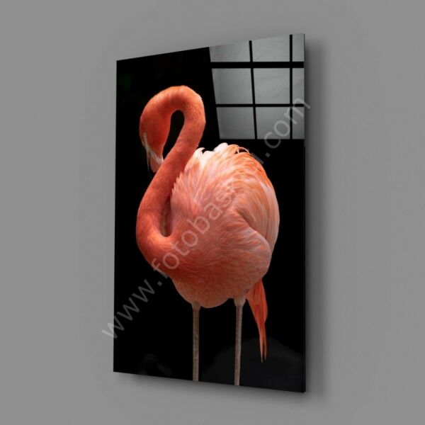 Flamingo Cam Tablo