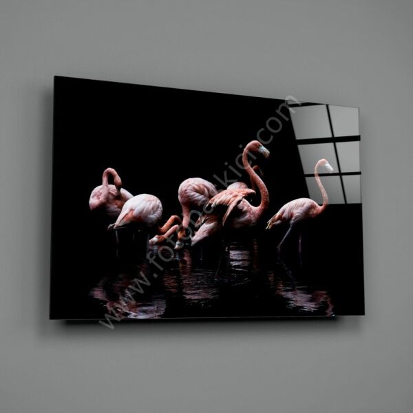 Flamingolar Cam Tablo