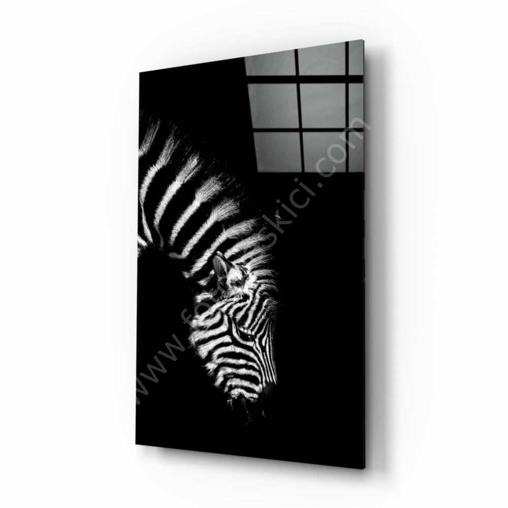 Zebra Cam Tablo