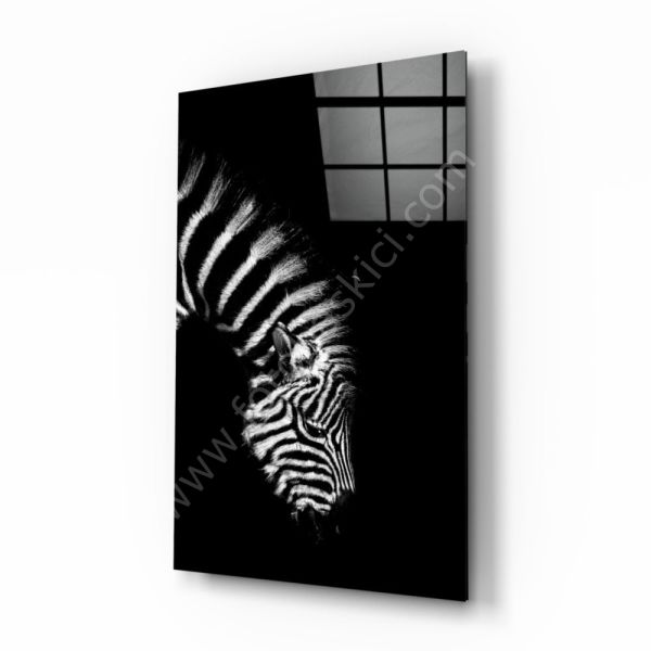 Zebra Cam Tablo