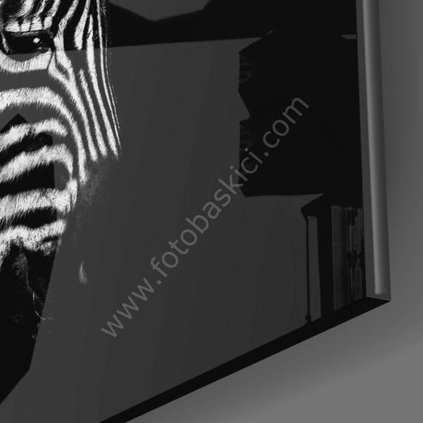 Zebra Cam Tablo