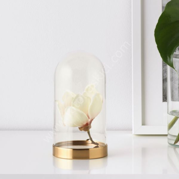 Gold Altlıklı Cam Fanus 10x19 cm