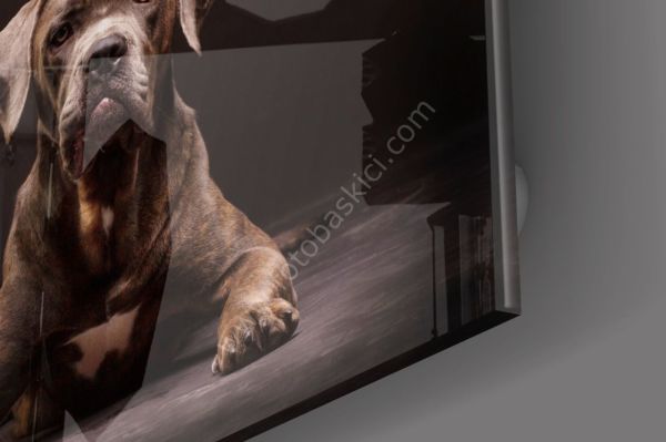 Köpek Cam Tablo No:1180