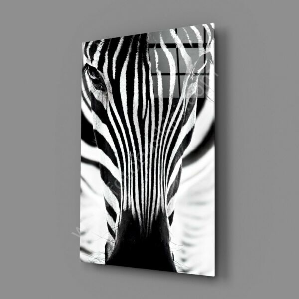Zebra Cam Tablo No:8047
