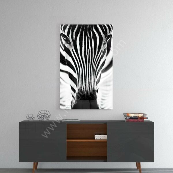 Zebra Cam Tablo No:8047