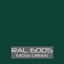 M5 Endüstriyel Rapid Boya Çit Yeşili Ral 6005 0,75 Kg