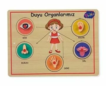 Ahşap Tutmalı Duyu  Organlarımız Puzzle