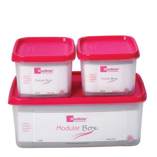 Moon star Modüler Hava Sızdırmaz Saklama Kabı-2,5LT+2X0,65LT-MS-08