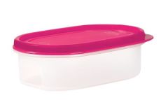 Moon Star Peynir Saklama Kabı Süzgeçli Hava Sızdırmaz 1,8+0,9 Litre-MID-ST200