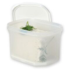 Moon Star Peynir Saklama Kabı Süzgeçli Hava Sızdırmaz 1,8 Litre MID-201