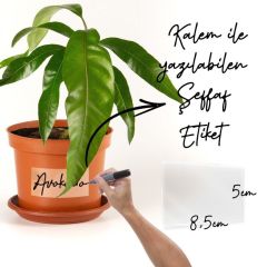 Suya Dayanıklı, Yazılabilen Şeffaf Etiket 8x5cm-30 Ad