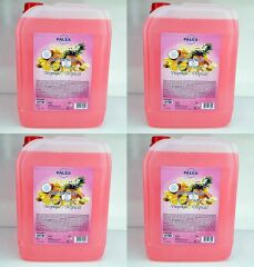 Palex 5 KG Oda Parfümü Çamaşır Parfümü 4x5kg-TROPİKAL MEYVELER