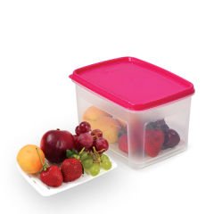 Geseus Moonstar Süzgeçli Peynir Saklama Kabı 2 Lt X 2ADET BPA FREE-MS06