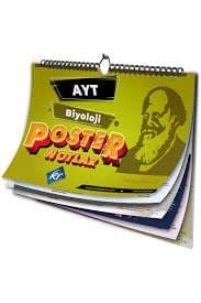 AYT Biyoloji Poster Notlar