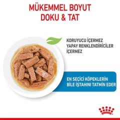 Royal Canin Maxi Büyük Irk Puppy Yavru Köpek Konservesi 140 Gr