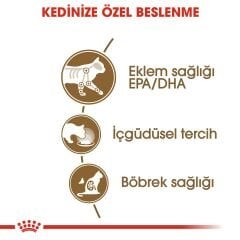 Royal Canin Ageing+12 Kedi Konservesi 85Gr 12'Li Paket