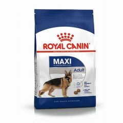 Royal Canin Maxi Adult Büyük Irk Yetişkin Köpek Maması 15 Kg