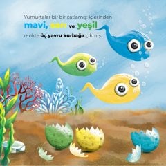 Şarkıcı Kurbağalar (Hikaye Kitabı)