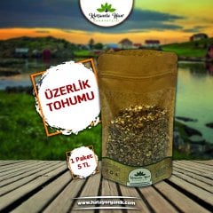 ÜZERLİK TOHUMU