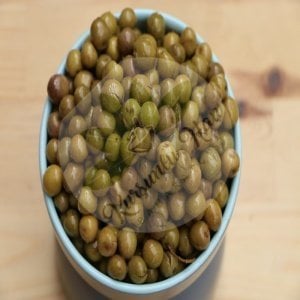 Halhali Çizik Zeytin Bidon