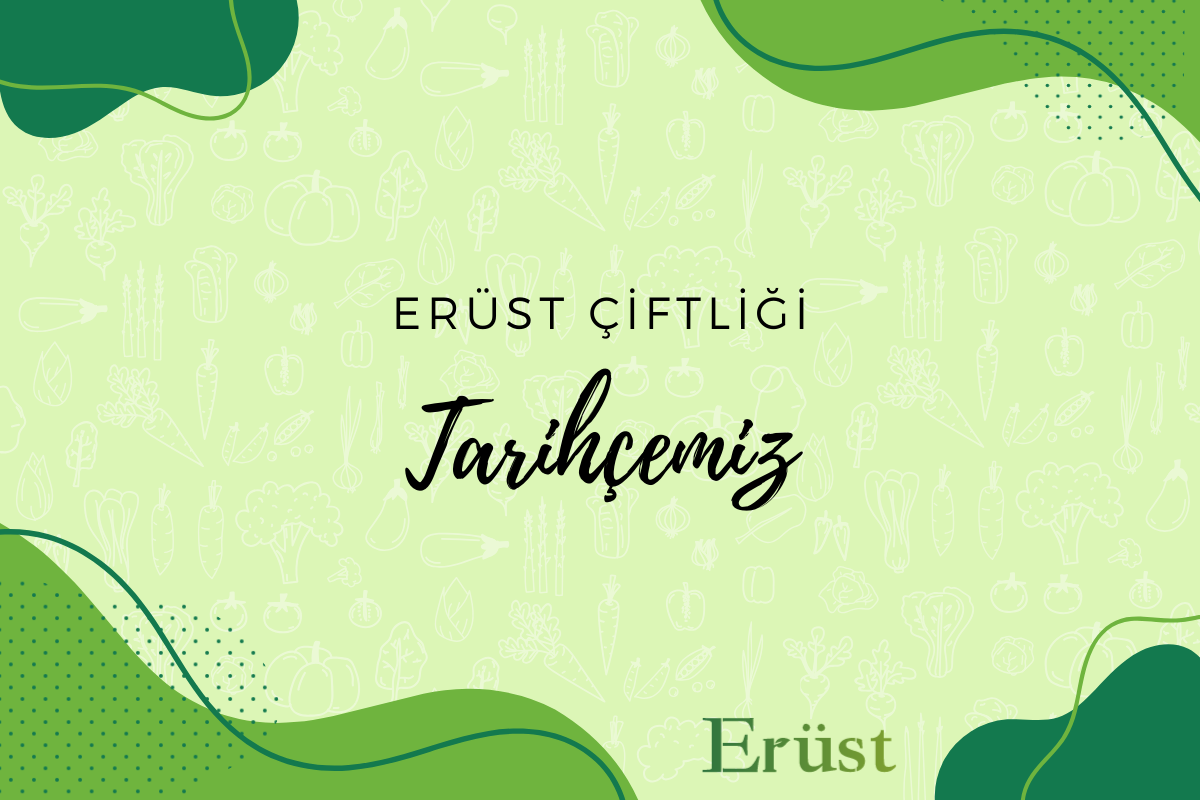 Tarihçemiz