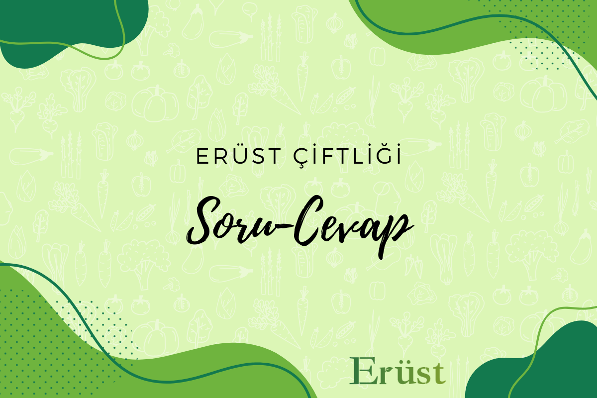 Sıkça Sorulan Sorular